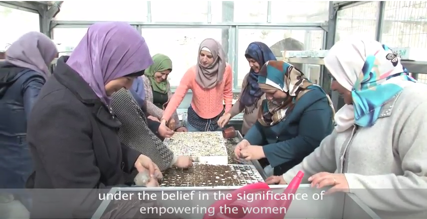 Opening of 5 micro-businesses for women entrepreneurs in East Jerusalem 